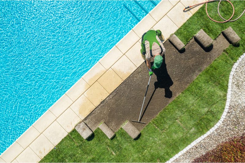 Plantare Arbori services in Oradea, Bihor County